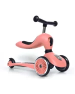 SCOOT et RIDE – TROTTINETTE HIGHWAYKICK 1 – Pêche